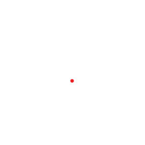 R.I.S.E. Logo